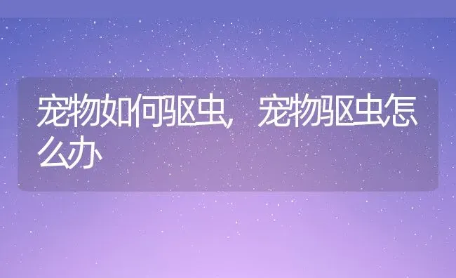 宠物如何驱虫,宠物驱虫怎么办 | 宠物百科知识