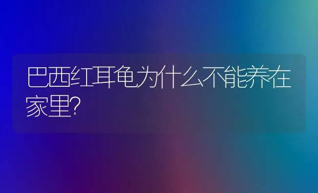 巴西红耳龟为什么不能养在家里？ | 动物养殖问答