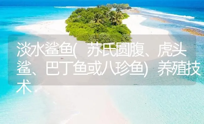 淡水鲨鱼(苏氏圆腹、虎头鲨、巴丁鱼或八珍鱼)养殖技术 | 海水养殖技术