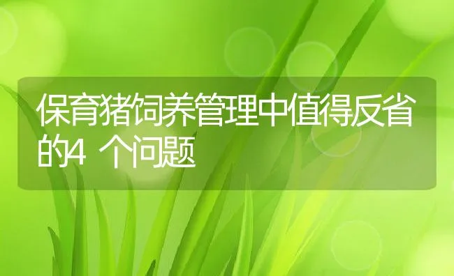 保育猪饲养管理中值得反省的4个问题 | 动物养殖学堂