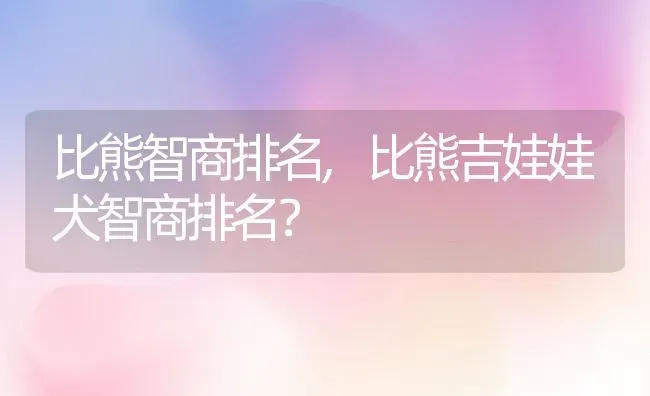 比熊智商排名,比熊吉娃娃犬智商排名？ | 宠物百科知识