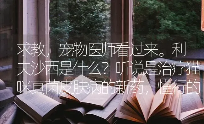 求教，宠物医师看过来。利夫沙西是什么？听说是治疗猫咪真菌皮肤病的新药，懂行的给说说怎么样？ | 动物养殖问答