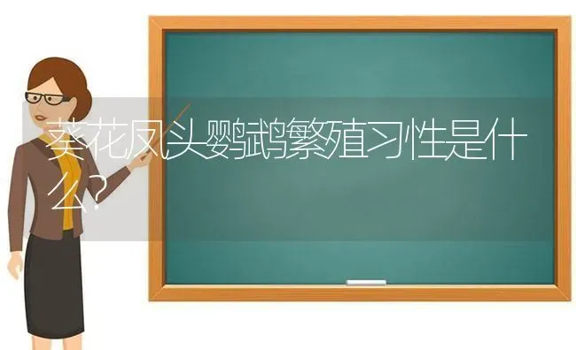 葵花凤头鹦鹉繁殖习性是什么？ | 动物养殖问答