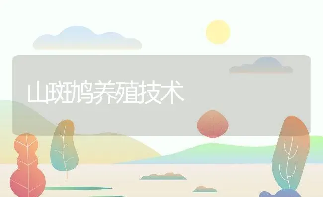 山斑鸠养殖技术 | 动物养殖百科