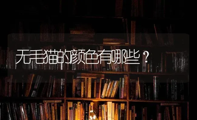 无毛猫的颜色有哪些？ | 动物养殖问答