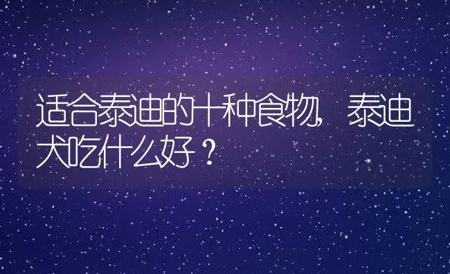 适合泰迪的十种食物,泰迪犬吃什么好？ | 宠物百科知识