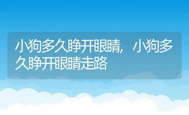 小狗多久睁开眼睛,小狗多久睁开眼睛走路 | 宠物百科知识