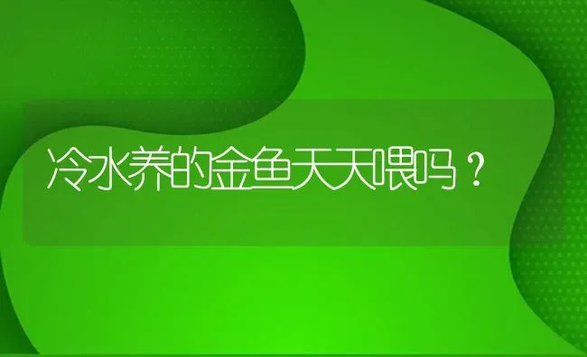 冷水养的金鱼天天喂吗？ | 鱼类宠物饲养