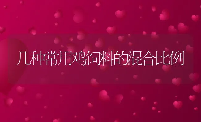 几种常用鸡饲料的混合比例 | 动物养殖饲料