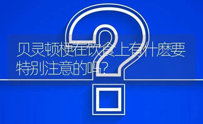 贝灵顿梗在饮食上有什麽要特别注意的吗？ | 动物养殖问答