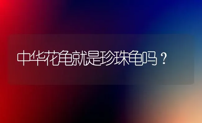 狗狗晚上一直喘气怎么回事呀？ | 动物养殖问答