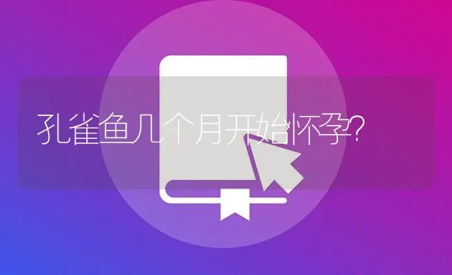 孔雀鱼几个月开始怀孕？ | 鱼类宠物饲养