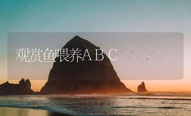 观赏鱼喂养ABC | 海水养殖技术