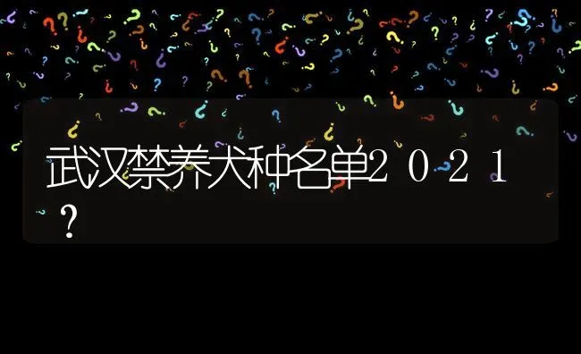 武汉禁养犬种名单2021？ | 动物养殖问答