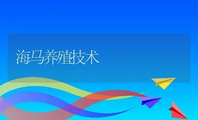 海马养殖技术 | 动物养殖教程