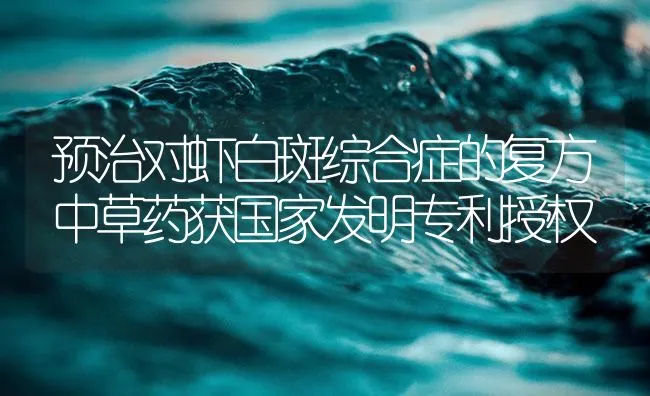 预治对虾白斑综合症的复方中草药获国家发明专利授权 | 海水养殖技术