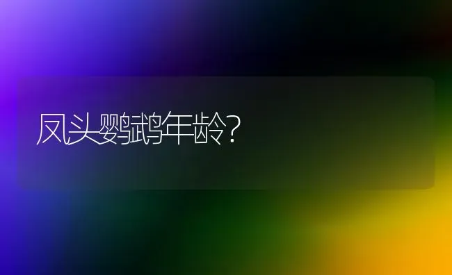 凤头鹦鹉年龄？ | 动物养殖问答