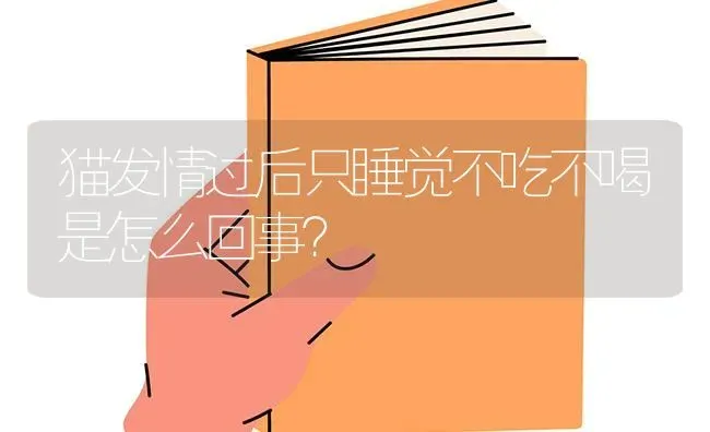 猫发情过后只睡觉不吃不喝是怎么回事？ | 动物养殖问答