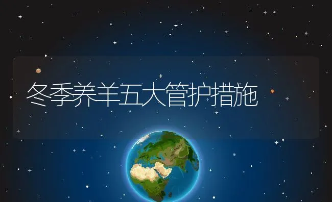 冬季养羊五大管护措施 | 动物养殖学堂