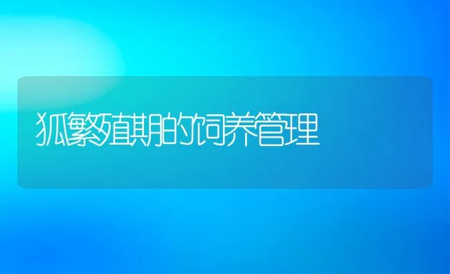 狐繁殖期的饲养管理 | 动物养殖学堂