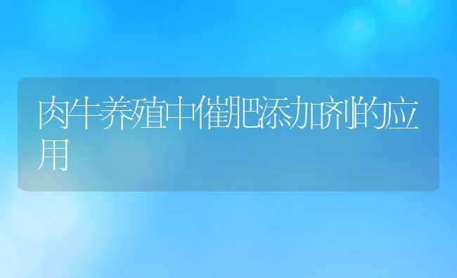 肉牛养殖中催肥添加剂的应用 | 动物养殖学堂