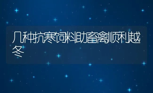 几种抗寒饲料助畜禽顺利越冬 | 动物养殖学堂