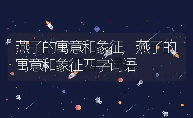 燕子的寓意和象征,燕子的寓意和象征四字词语 | 宠物百科知识