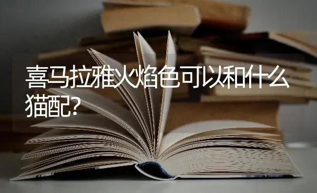 喜马拉雅火焰色可以和什么猫配？ | 动物养殖问答