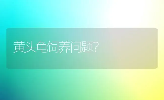 黄头龟饲养问题？ | 动物养殖问答