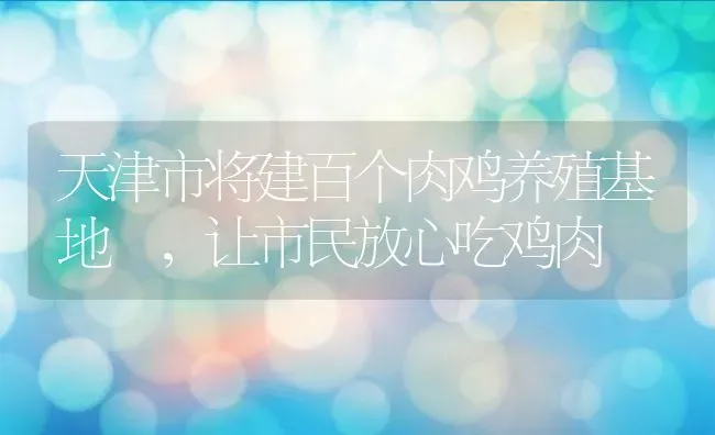 天津市将建百个肉鸡养殖基地 ，让市民放心吃鸡肉 | 动物养殖教程