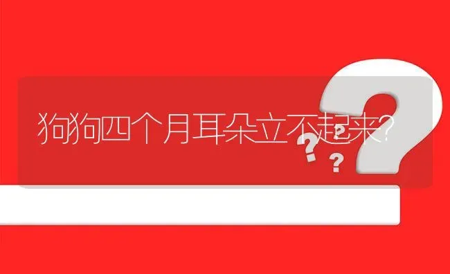 狗狗四个月耳朵立不起来？ | 动物养殖问答