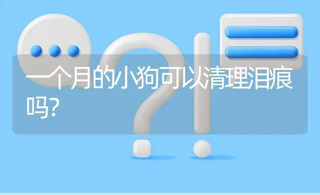 一个月的小狗可以清理泪痕吗？ | 动物养殖问答