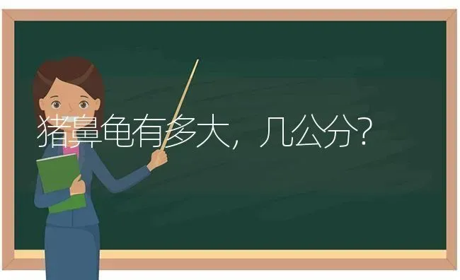 秋田犬是不是大型犬？对这类犬种，做过了解吗？ | 动物养殖问答