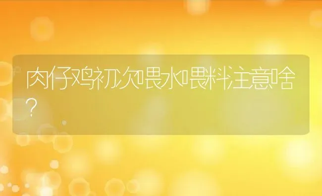 肉仔鸡初次喂水喂料注意啥？ | 动物养殖教程