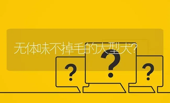 拉布拉多三个月大的训练方法？ | 动物养殖问答