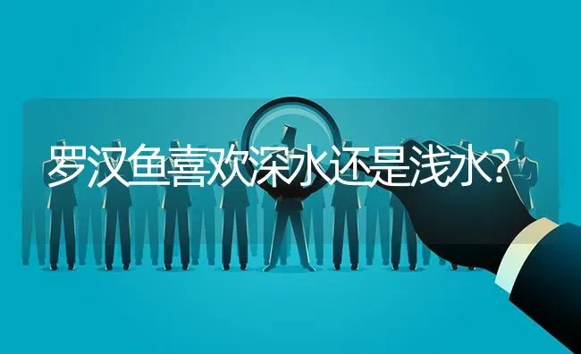 罗汉鱼喜欢深水还是浅水？ | 鱼类宠物饲养