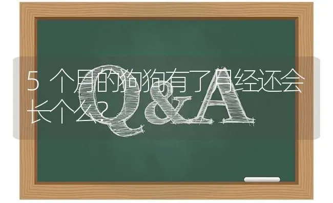 5个月的狗狗有了月经还会长个么？ | 动物养殖问答