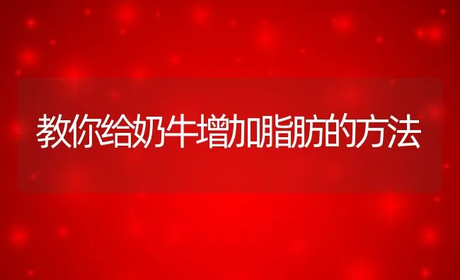 小龙虾的养殖技术？如何养殖？ | 海水养殖技术