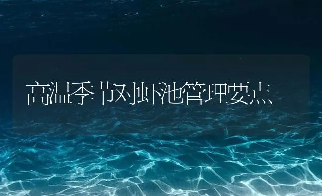 高温季节对虾池管理要点 | 海水养殖技术