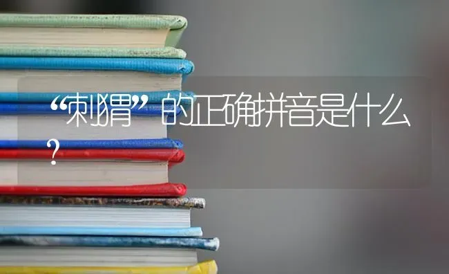 “刺猬”的正确拼音是什么？ | 动物养殖问答