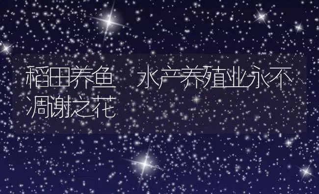 稻田养鱼 水产养殖业永不凋谢之花 | 动物养殖饲料