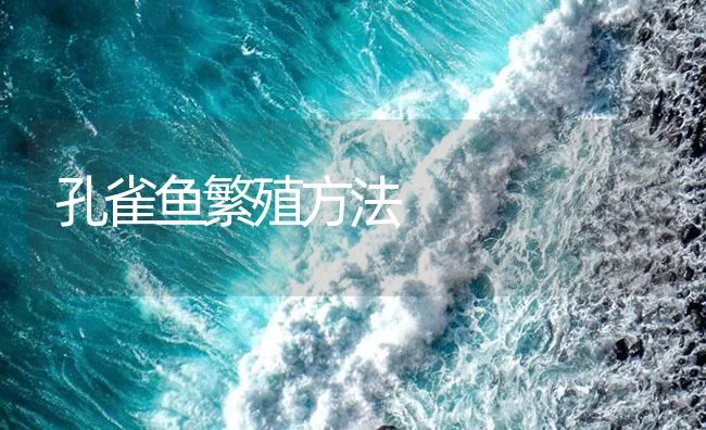 孔雀鱼繁殖方法 | 海水养殖技术