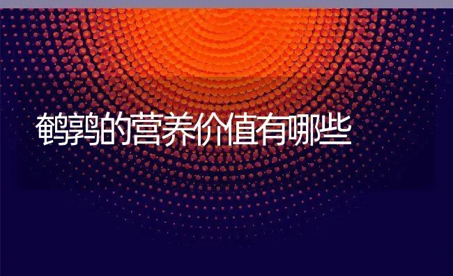 鹌鹑的营养价值有哪些 | 动物养殖百科