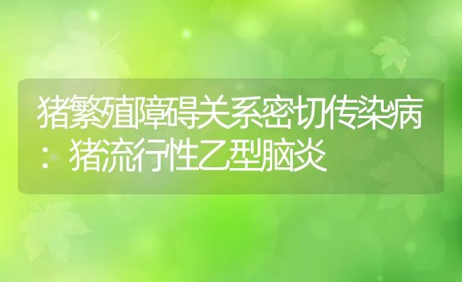 猪繁殖障碍关系密切传染病：猪流行性乙型脑炎 | 动物养殖学堂