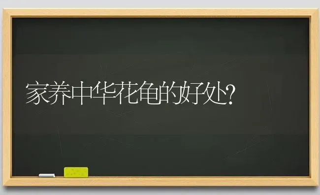 家养中华花龟的好处？ | 动物养殖问答