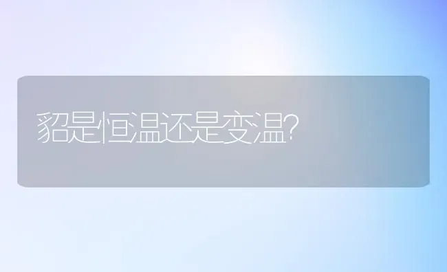 刚生的小乌龟通人性吗？ | 动物养殖问答