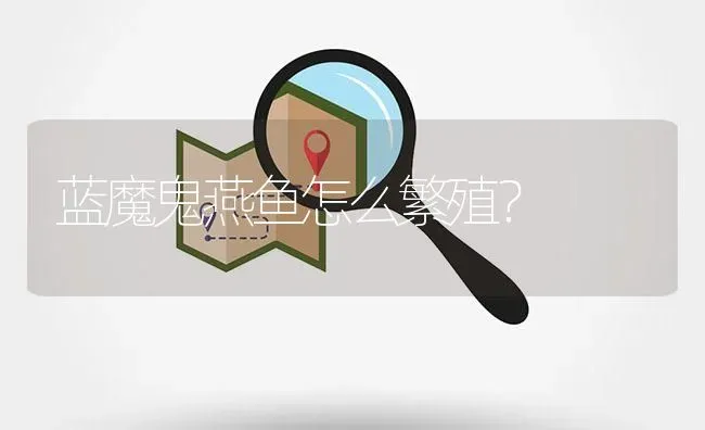 蓝魔鬼燕鱼怎么繁殖？ | 鱼类宠物饲养