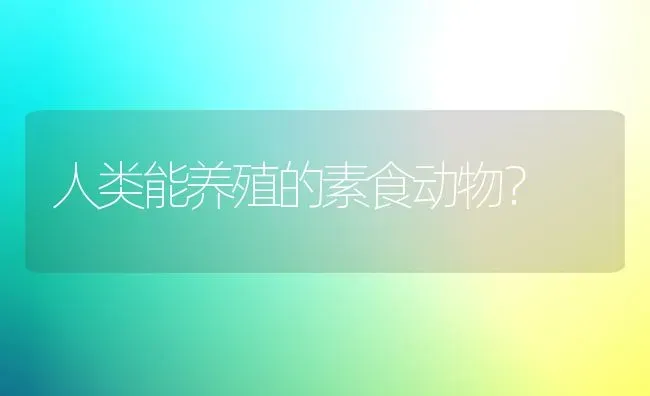 猫咪拉稀了，家人脑袋秀逗了，给它喝青霉素！我担心猫咪会不会挂掉？ | 动物养殖问答