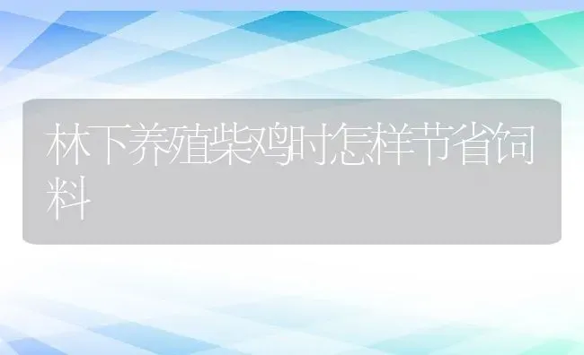 林下养殖柴鸡时怎样节省饲料 | 动物养殖教程