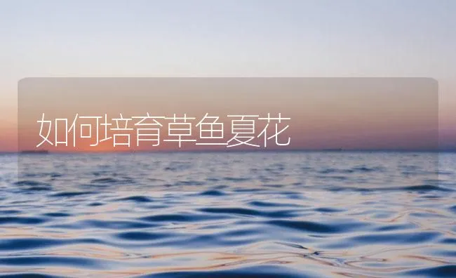 如何培育草鱼夏花 | 海水养殖技术